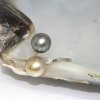 Leilani Moea Pearls Ring - 3