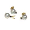 Gold mana adornment pearls Akoya Moea Pearls - 2