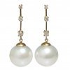 Fenu earrings pearls of Australia Moea Pearls - 1