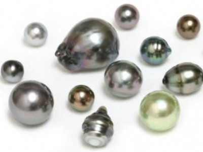 Why Tahitian pearls are black ?